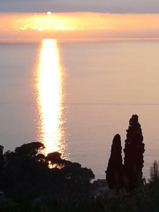 Apartament La Depandance Della Nonna Camogli Zewnętrze zdjęcie