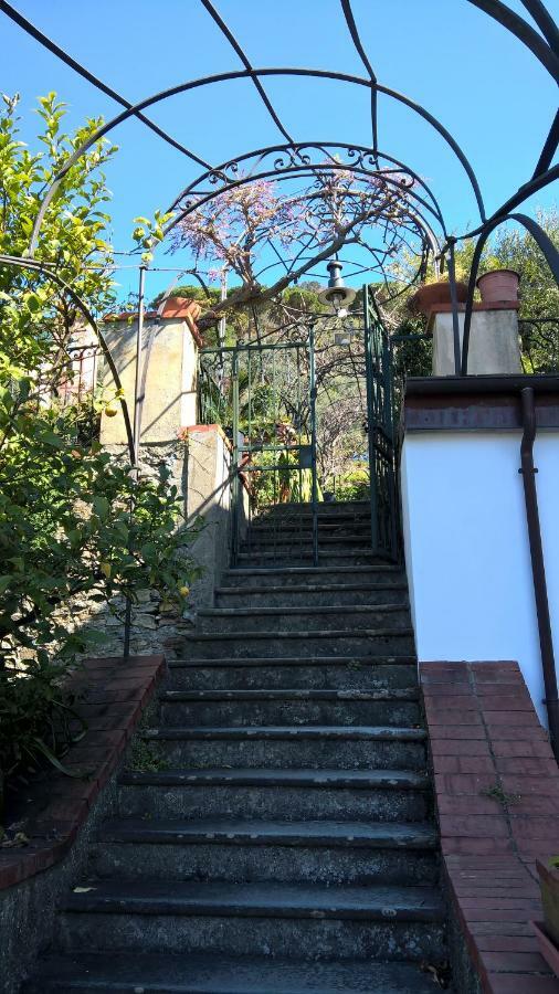 Apartament La Depandance Della Nonna Camogli Zewnętrze zdjęcie